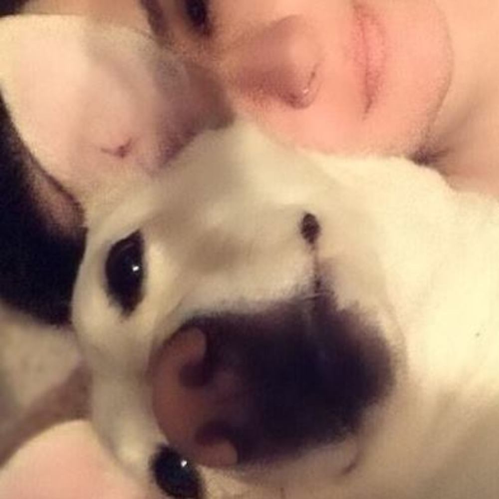 Meet your Posher, Fynn